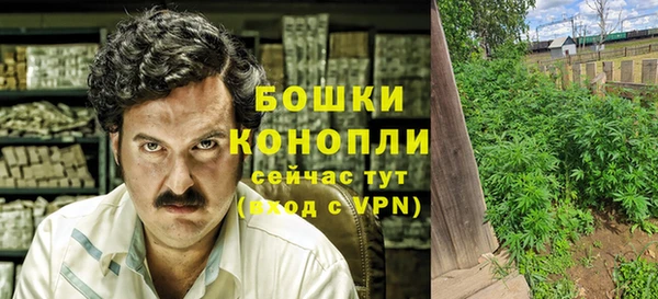 шишки Покров