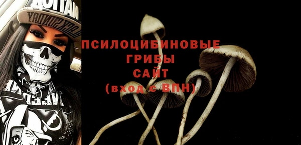 крисы Приозерск