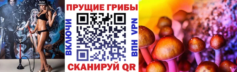 Псилоцибиновые грибы GOLDEN TEACHER  купить  сайты  Кунгур 
