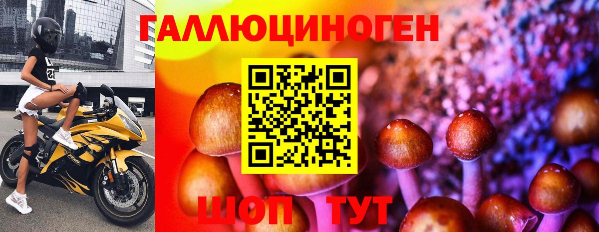 Галлюциногенные грибы прущие грибы Кунгур