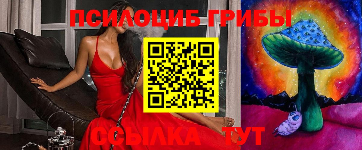 Псилоцибиновые грибы Psilocybine cubensis  Галлюциногенные грибы Psilocybine cubensis  Кунгур 