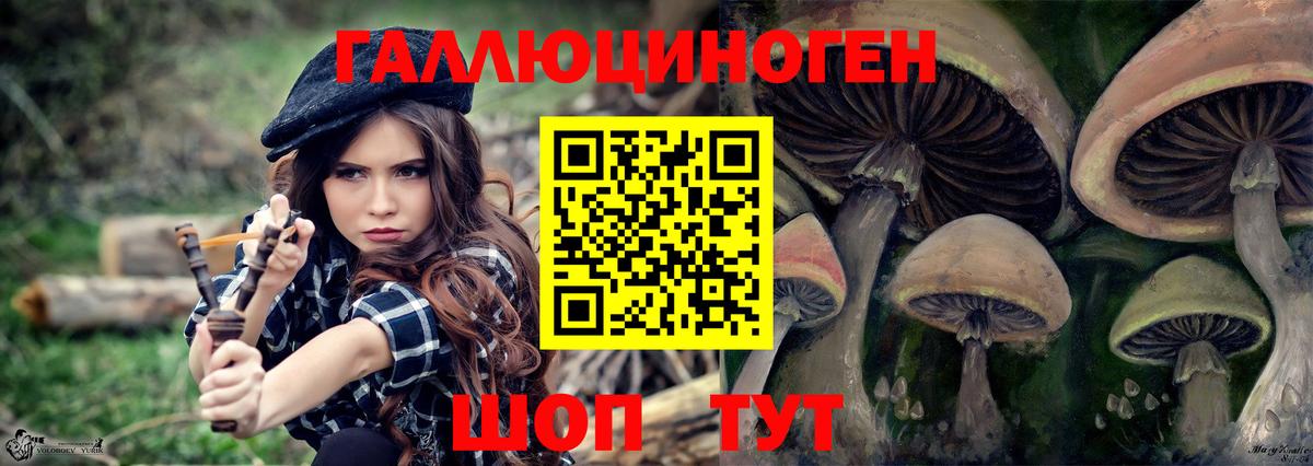 Кунгур  Псилоцибиновые грибы Psilocybe  Галлюциногенные грибы Magic Shrooms  Вход с VPN 